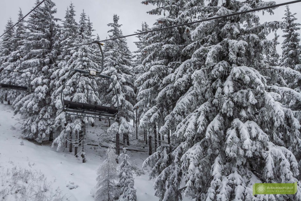 Harrachov, narty w Harrachovie; narty w Czechach; ośrodek narciarski Harrachov